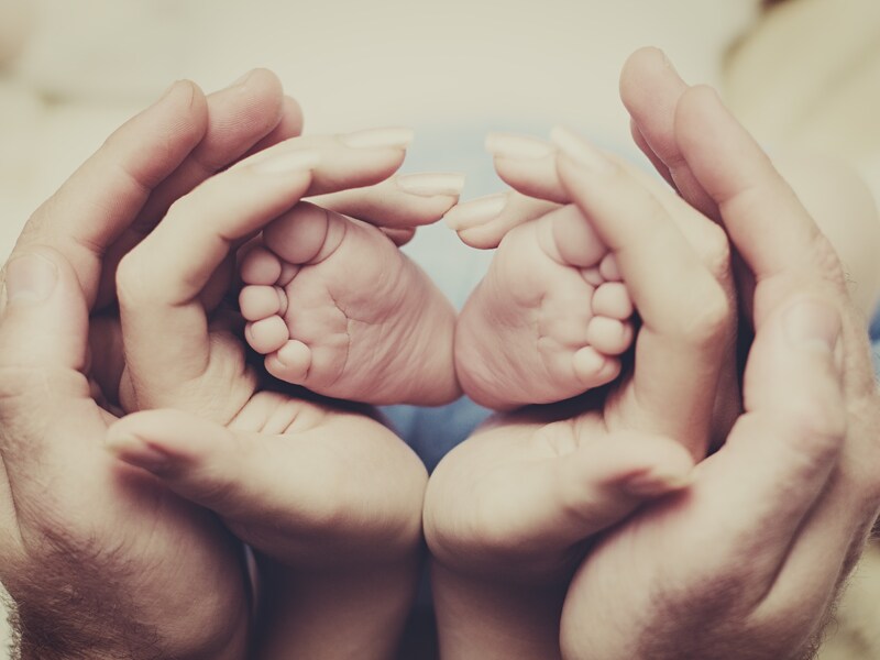 800x600 Text And Image Family Bis